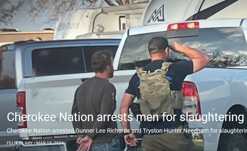 Cherokee Nation arrests men for slaughtering rancher's bison